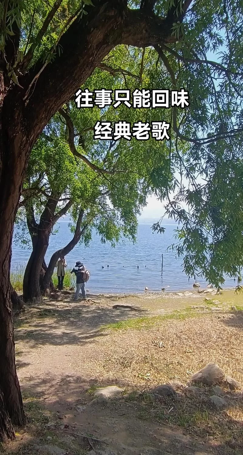 江归江山归山歌词太好哭了！这首歌唱的什么故事？