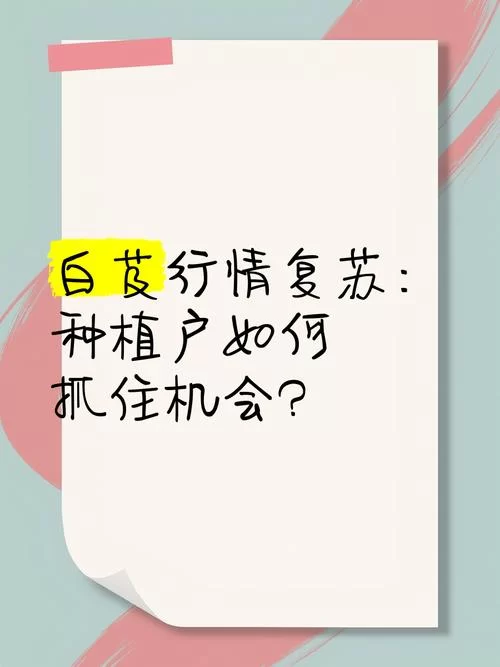 经济复苏是什么意思？普通人如何抓住机会？