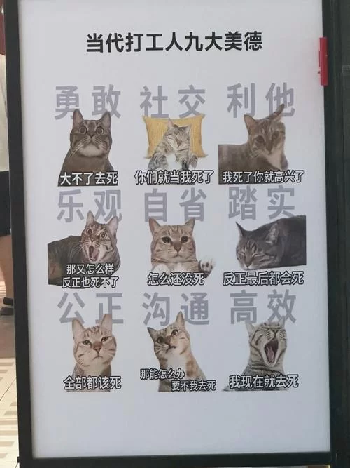 美德攻略秘籍分享，让你快速通关变大神！