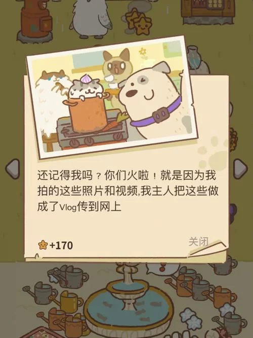 摄像小狗的来信怎么弄?超简单方法分享给你! 摄像小狗的来信怎么弄?超简单方法分享给你!