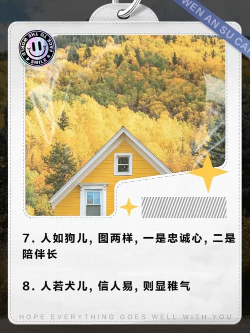 把人比喻青铜什么意思？看完这篇就懂了！