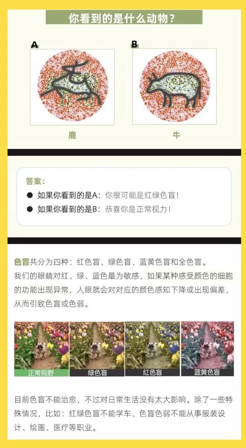 想知道这是什么颜色？快用百度扫一扫识别颜色！