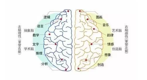 当代人生最强大脑题目太难？这份答案攻略请收好！