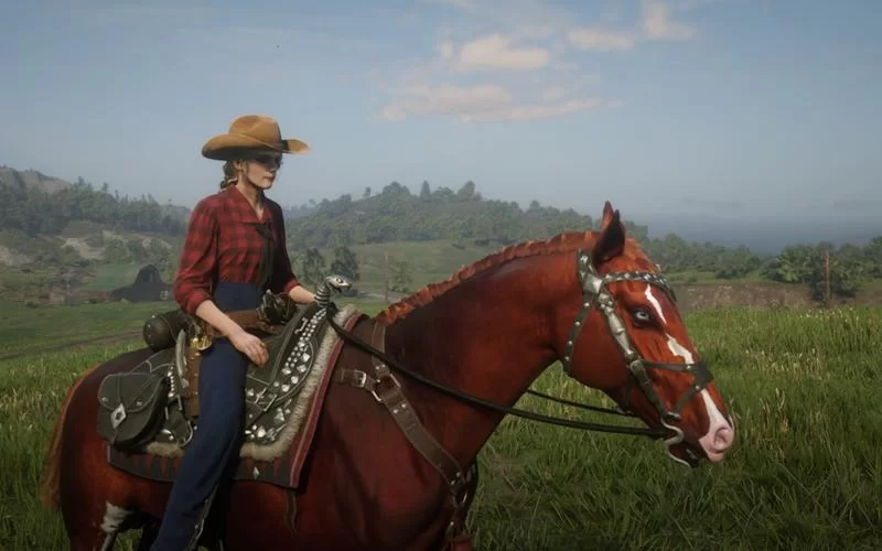 荒野大镖客2农夫的女儿好感度怎么刷?技巧分享! 荒野大镖客2农夫的女儿好感度怎么刷?技巧分享!