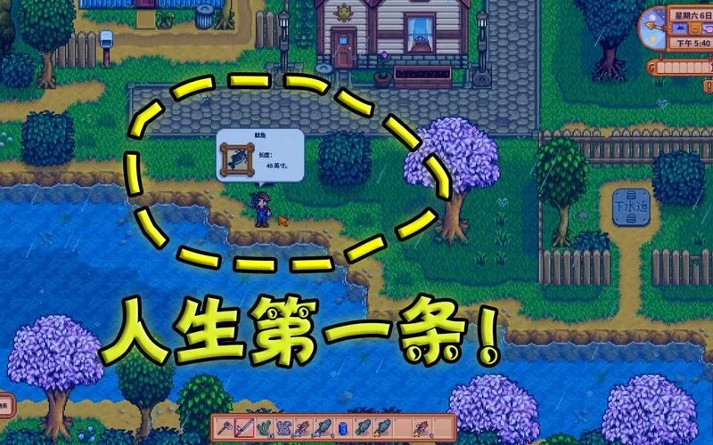 星露谷鲶鱼喜欢什么？掌握这些技巧轻松钓鲶鱼！