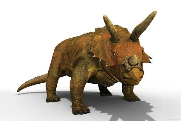 恐龙迷看过来！三角龙的特点都在这儿！