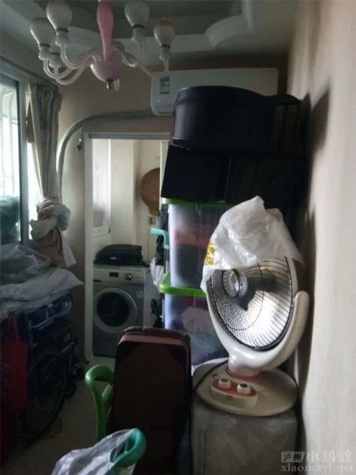 泸州小蚂蚁哪家好？对比这几家你就知道了！