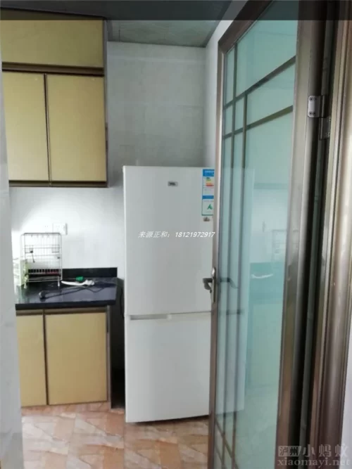 泸州小蚂蚁哪家好？对比这几家你就知道了！