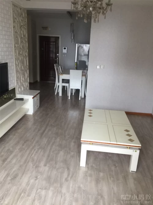 泸州小蚂蚁哪家好？对比这几家你就知道了！