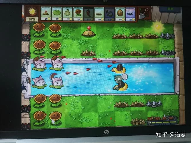植物大战僵尸全面冻结怎么过？实用攻略看这里！