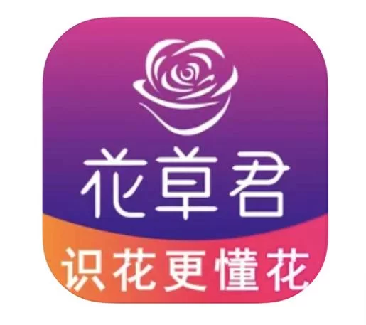 识花君app哪里下载？这个拍照识别植物真方便！