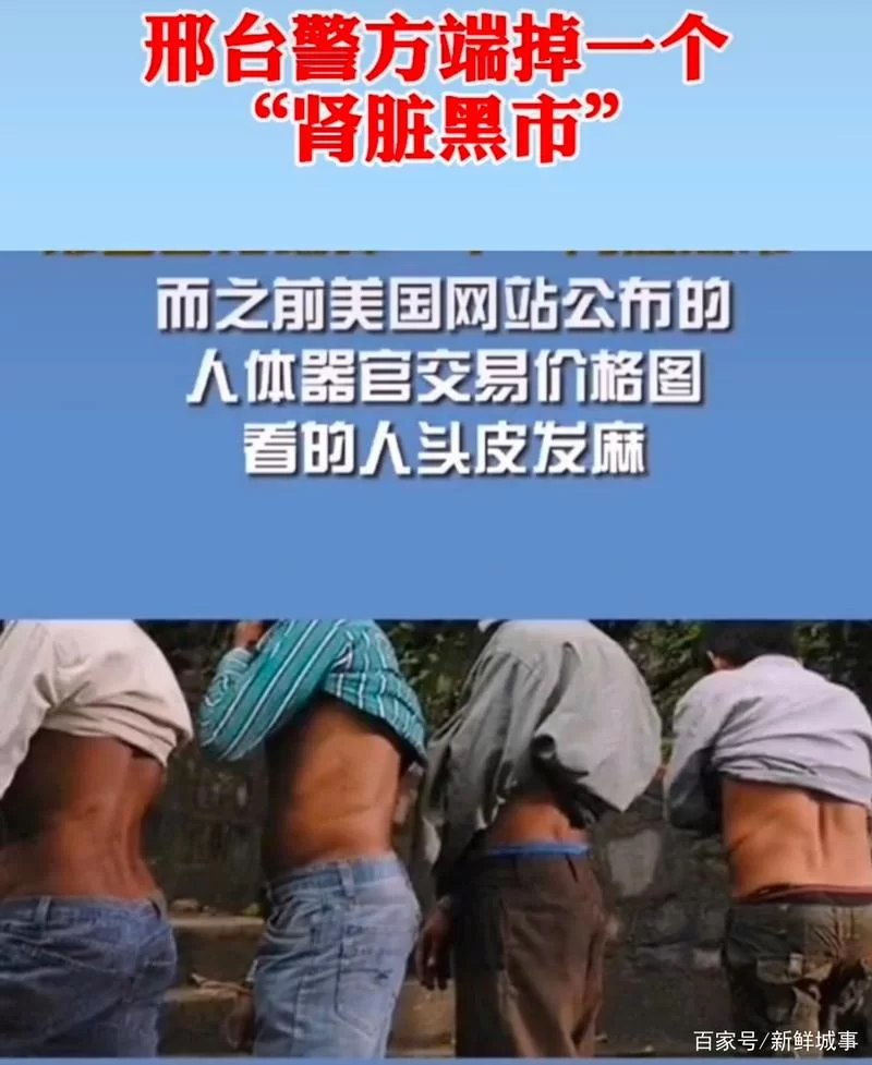 黑市心脏价格吓人！一颗黑市心脏到底值多少钱？