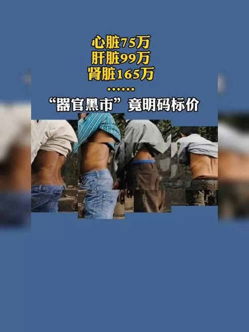 黑市心脏价格吓人！一颗黑市心脏到底值多少钱？