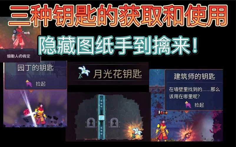 重生细胞园丁的钥匙怎么拿？新手必看保姆级教程！