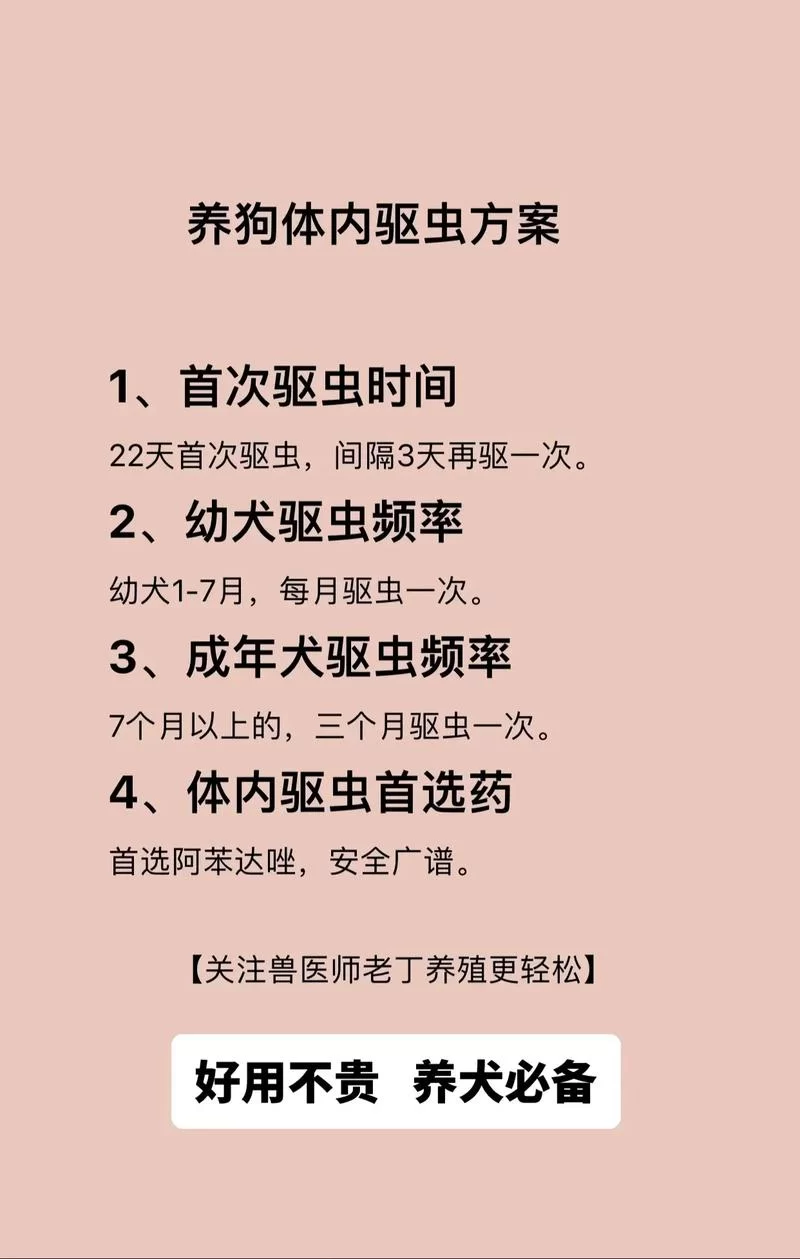 虫虫助手怎么用？虫助手详细教程，快速上手！