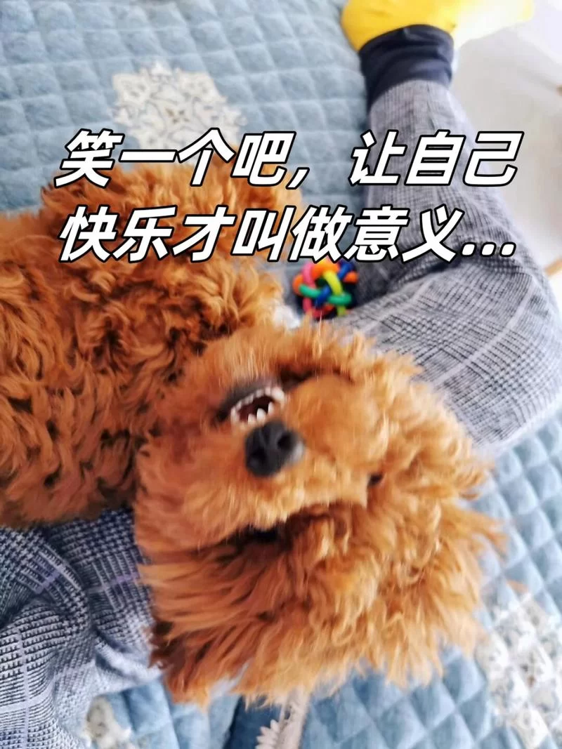 笑一个吧让自己快乐，这样做才叫做有意义！
