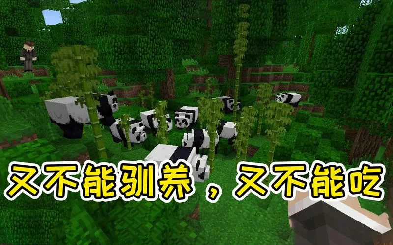 我的世界熊猫有什么用？看完这篇你就全明白了！