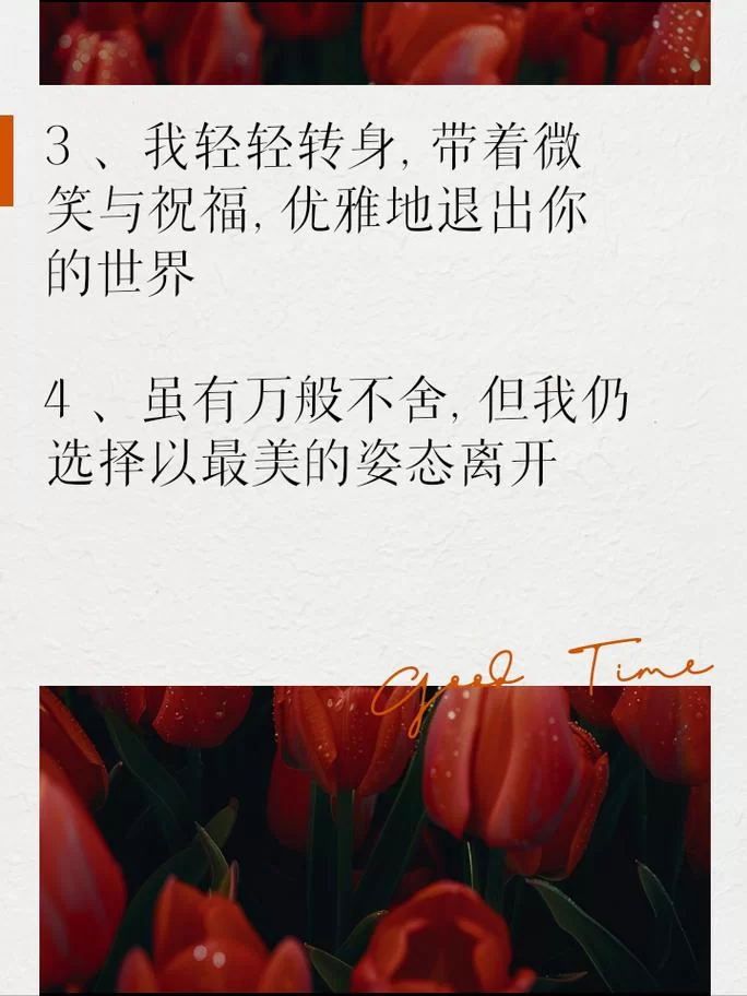 想知道优雅永不过时是出自哪里？这篇文章给你答案！