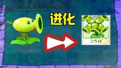 植物大战僵尸里的豌豆哪种好？教你轻松过关！