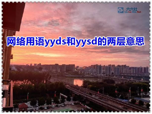 还在说YYDS？漏是什么意思网络用语必须知道！