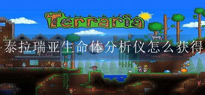 泰拉瑞亚生命体分析仪找不到？试试这些解决方法！