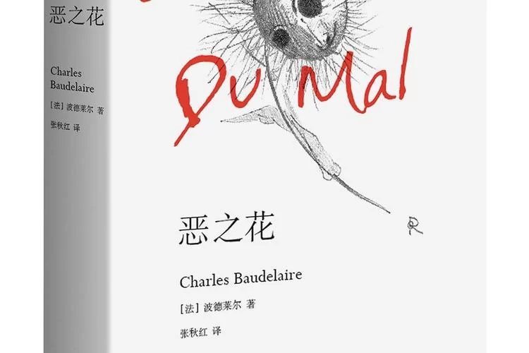 都说恶之花，恶之花到底是什么？这篇文章解答你的疑惑！