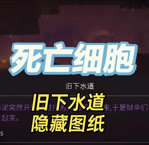 死亡细胞地图路线推荐，不同关卡这样走最轻松！