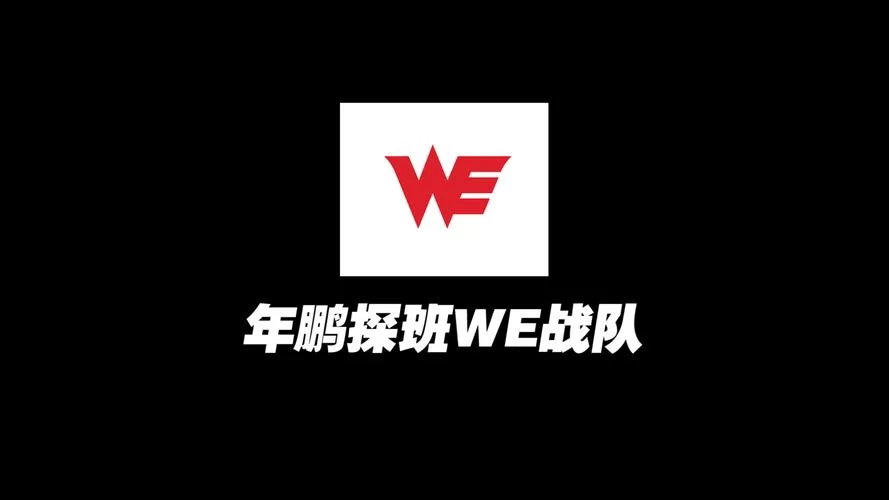 想了解we战队？战队历史、荣誉和未来展望都在这！