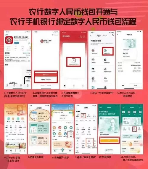 数字人民币怎么用？手把手教你快速上手！