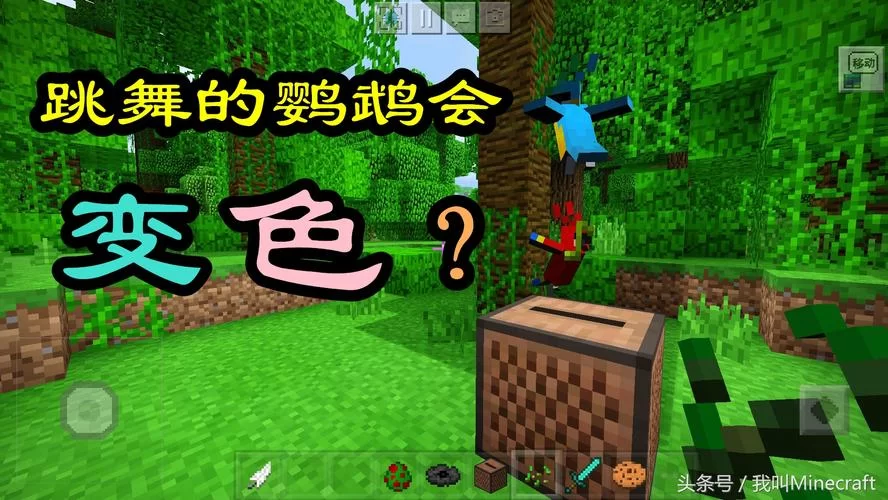 我的世界鹦鹉驯服教程：简单几步让它乖乖听话！