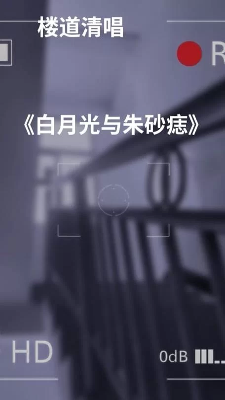 总听人说朱砂痣和白月光,到底是什么意思啊? 总听人说朱砂痣和白月光,到底是什么意思啊?