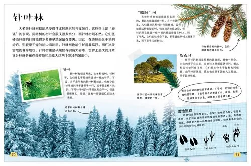 森林2什么时候出?游戏发售日期大揭秘抢先看! 森林2什么时候出?游戏发售日期大揭秘抢先看!