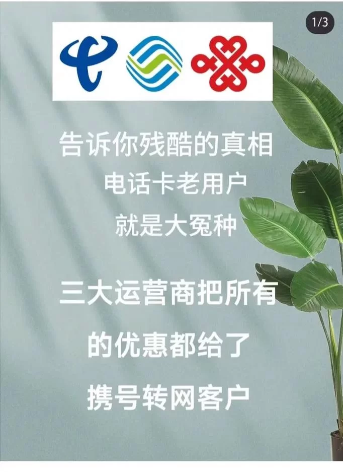 携号转网后悔了?别担心,教你如何转回来! 携号转网后悔了?别担心,教你如何转回来!