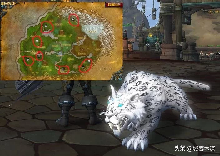 魔兽世界灵魂兽大全，各种模型外观属性一览！