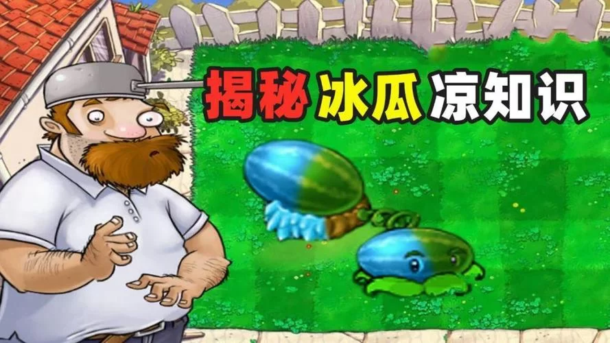 西瓜投手好用吗？优缺点全面分析介绍！