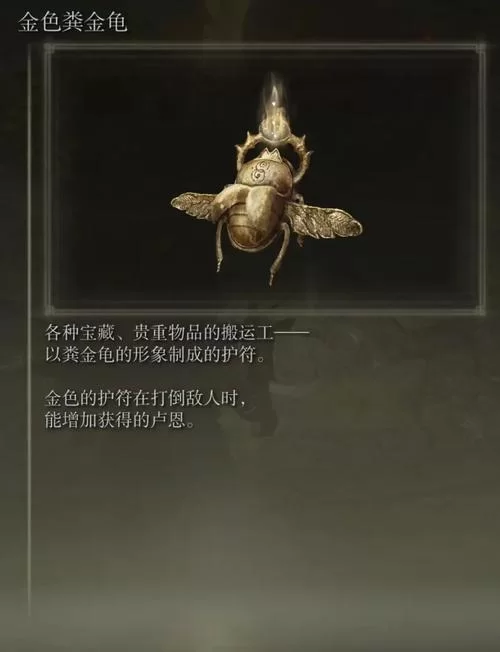 金色粪金龟吃什么?这份喂养指南请收好! 金色粪金龟吃什么?这份喂养指南请收好!