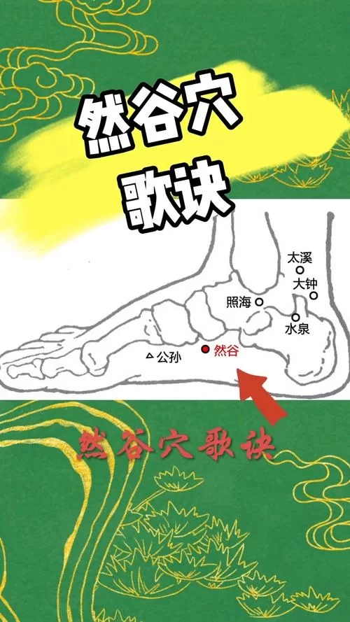 诺兹多姆在哪里？带你寻找时光之穴的详细位置！