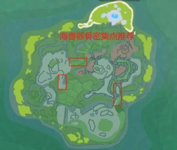 想要创造与魔法海兽骸骨？看完这篇你就懂了！