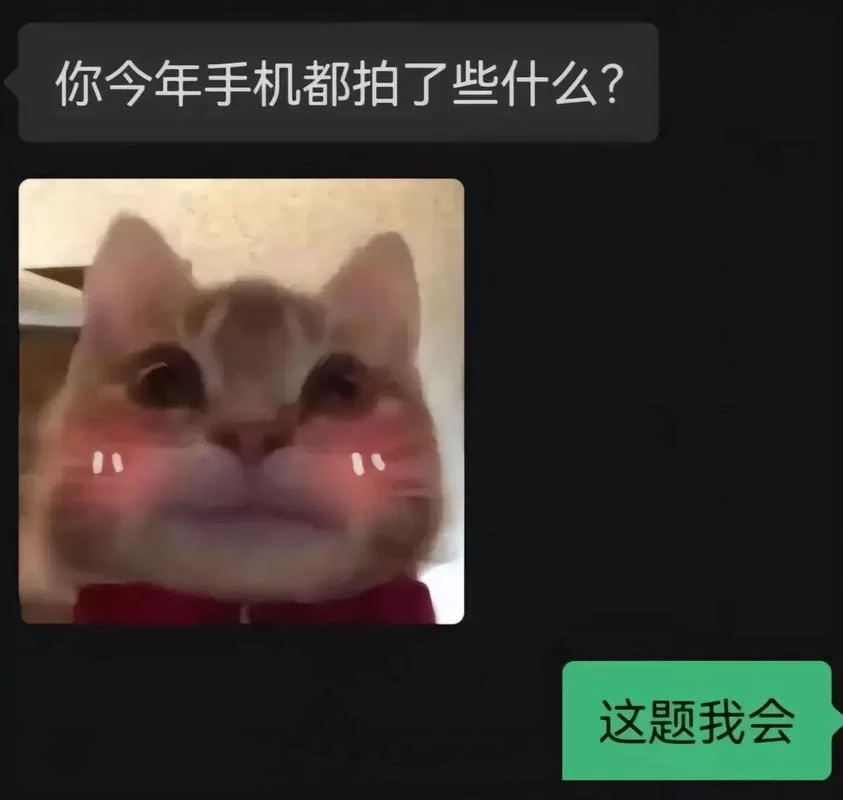 朋友拍了拍我的搞笑后缀，这些梗你也玩过吗？