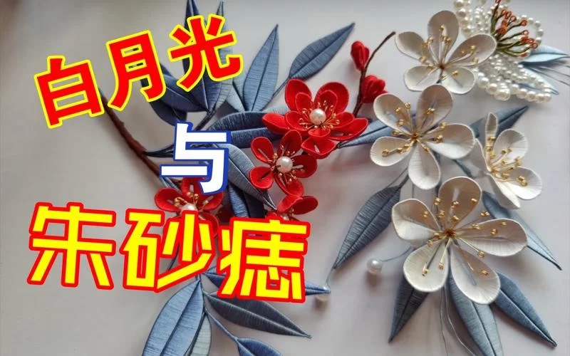白月光与朱砂痣有啥区别？男生更喜欢哪一个？