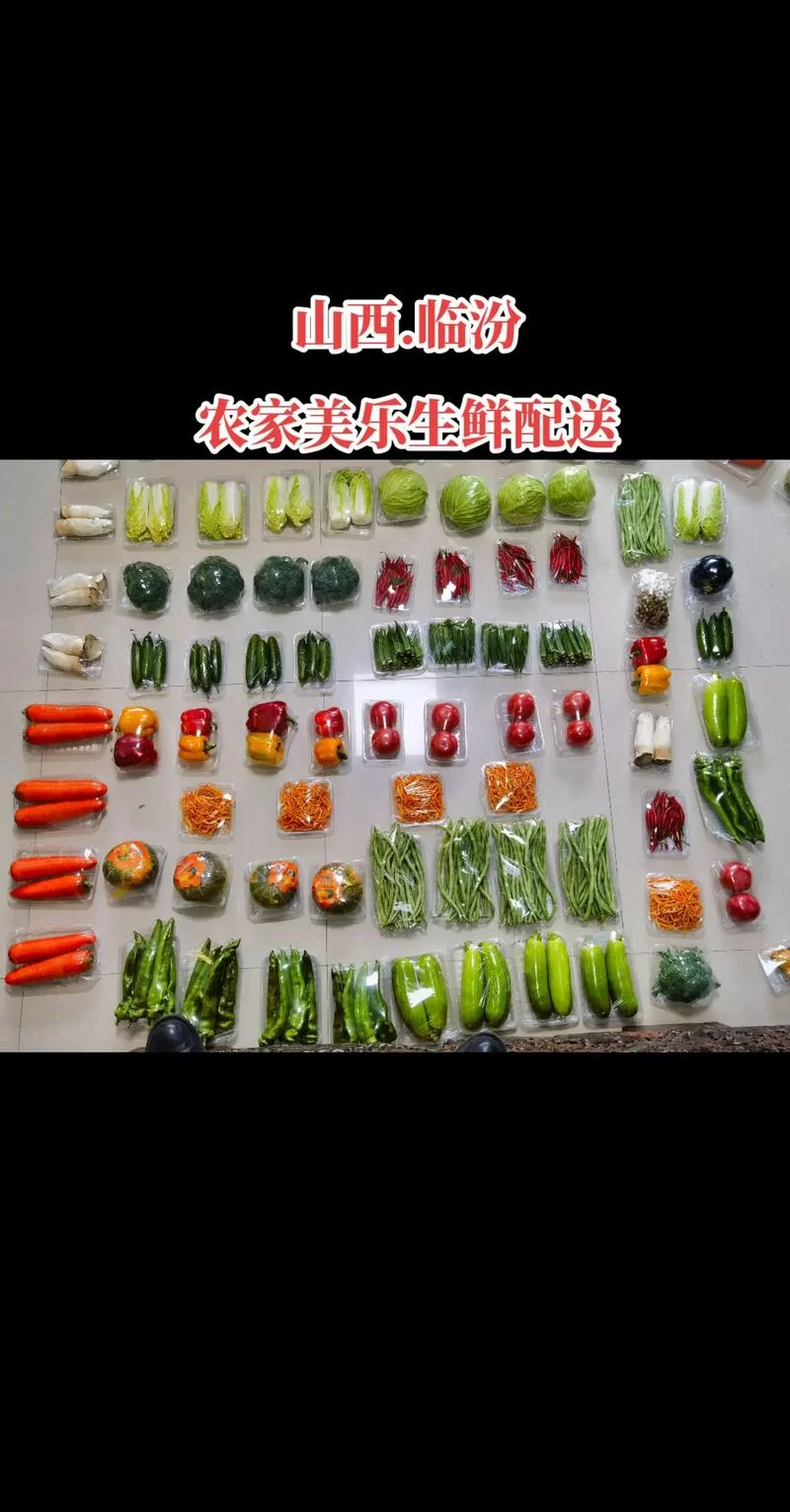 菜机下载哪个最靠谱？实测对比这几个热门站点！