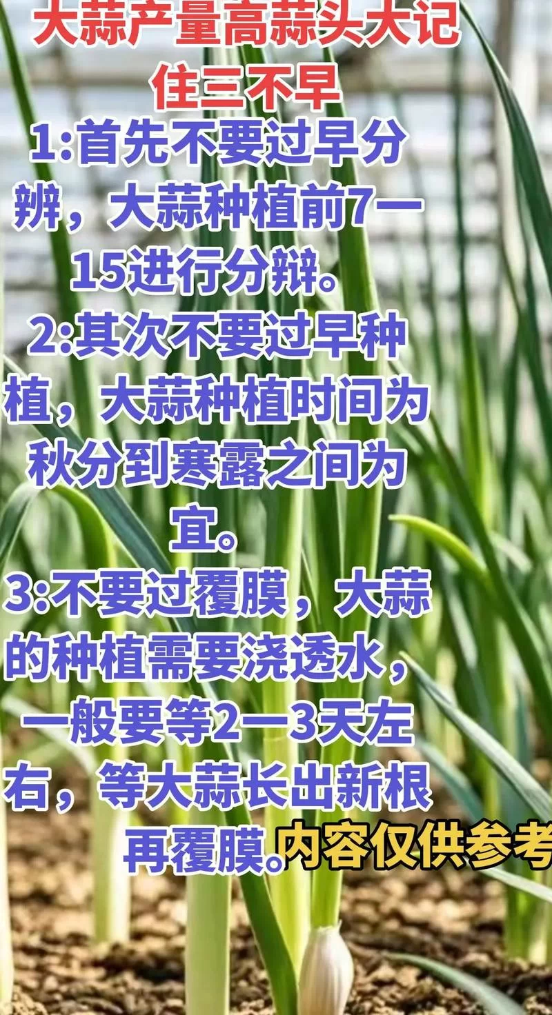菜机下载哪个最靠谱？实测对比这几个热门站点！