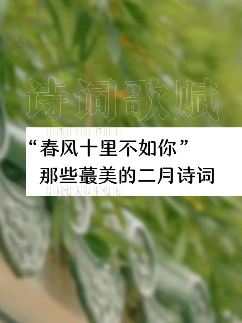 春风十里什么意思？这句诗词原来是这个含义！