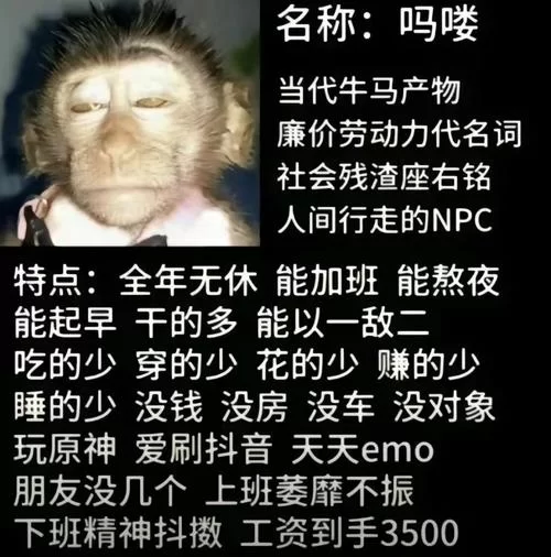 网上说的牛马是什么意思梗?看完你就明白了! 网上说的牛马是什么意思梗?看完你就明白了!