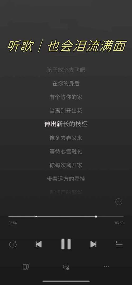 重要的是我会爱你是什么歌？听完这歌你感动了吗？