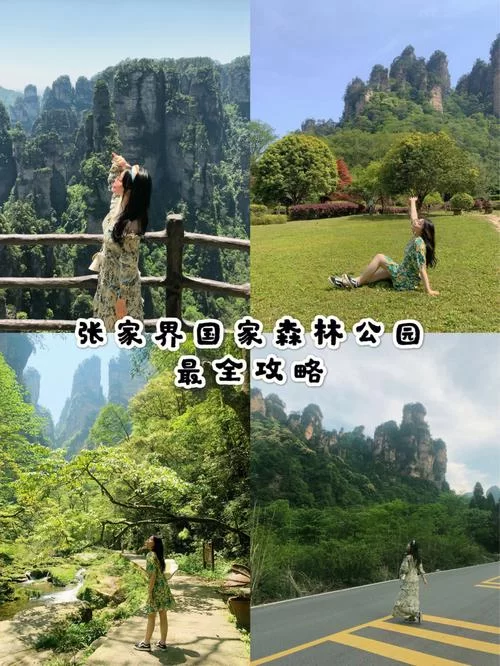 森林攻略哪个角色好？平民玩家看这篇就够了！