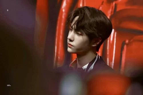 最近很火的王初月是什么梗？一篇文章告诉你！