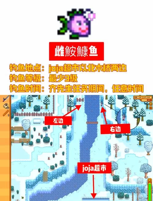 星露谷鲶鱼在哪里？这几个地点钓鲶鱼几率高！