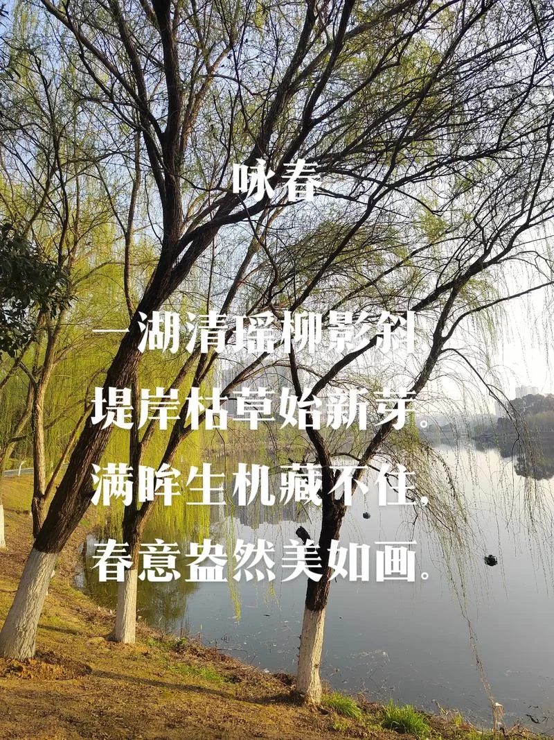 若水盈盈是成语吗？和它相关的典故有哪些？