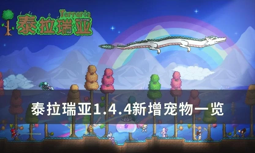 泰拉瑞亚最好照明宠物推荐,帮你告别黑暗! 泰拉瑞亚最好照明宠物推荐,帮你告别黑暗!